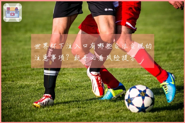 世界杯下注入口有哪些合法合规的注意事项？新手必看风险提示