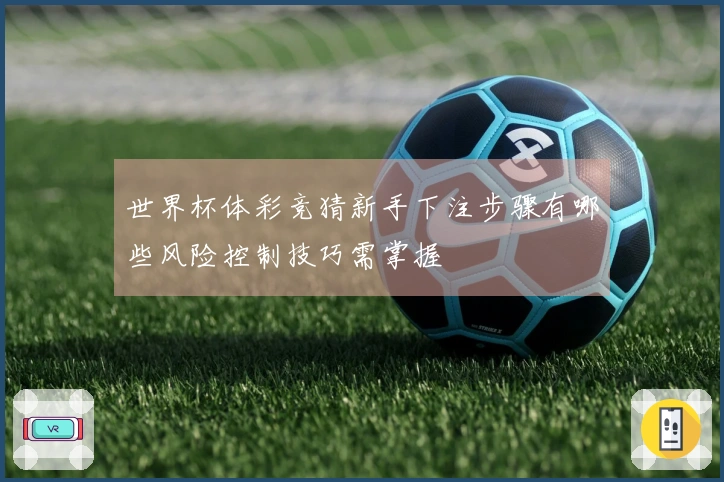 世界杯体彩竞猜新手下注步骤有哪些风险控制技巧需掌握