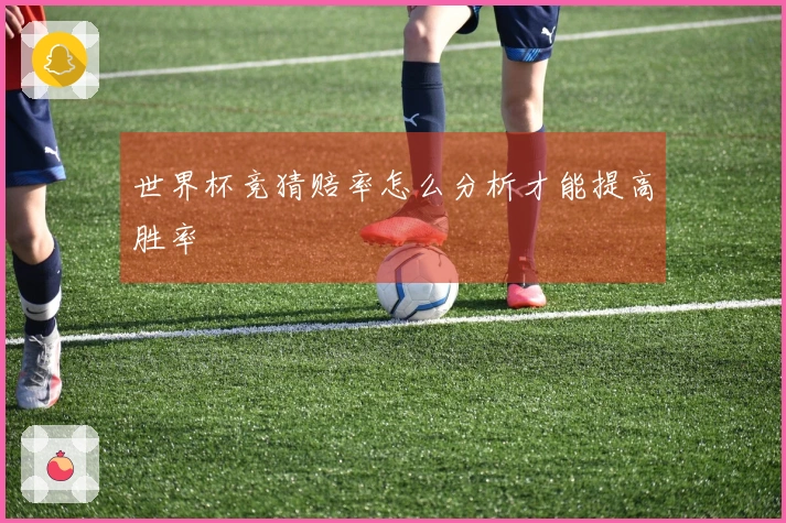 世界杯竞猜赔率怎么分析才能提高胜率