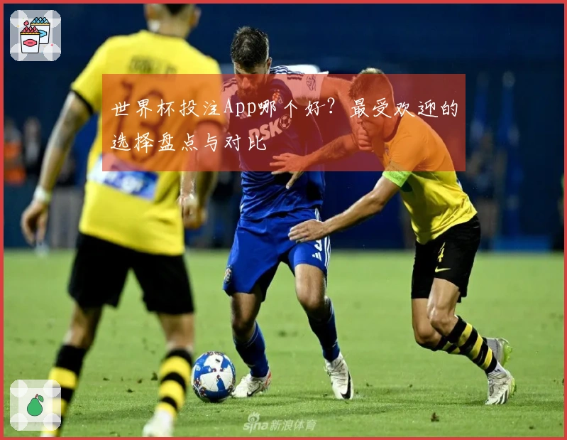 世界杯投注App哪个好？最受欢迎的选择盘点与对比
