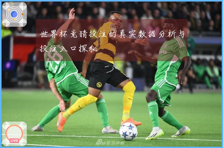 世界杯竞猜投注的真实数据分析与投注入口探秘