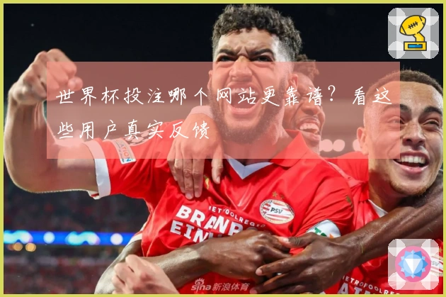 世界杯投注哪个网站更靠谱？看这些用户真实反馈