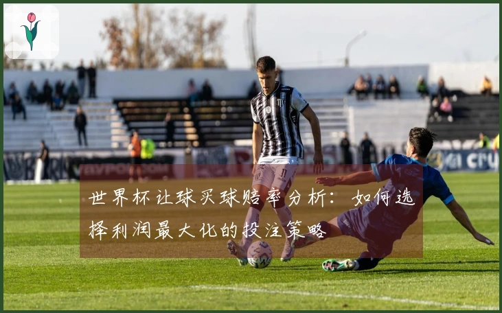 世界杯让球买球赔率分析：如何选择利润最大化的投注策略