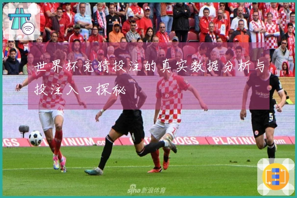 世界杯竞猜投注的真实数据分析与投注入口探秘