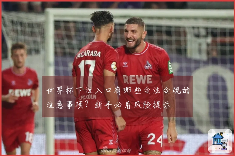 世界杯下注入口有哪些合法合规的注意事项？新手必看风险提示